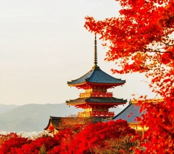 Greșeli frecvente într-un circuit în Japonia și cum le eviți (sfaturi de la experți)
